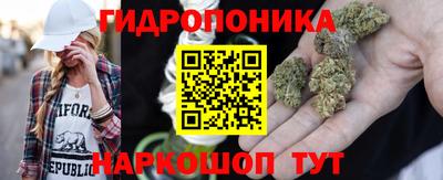 2c-b Кингисепп