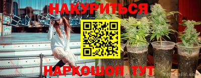 2c-b Кингисепп