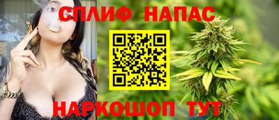 2c-b Кингисепп