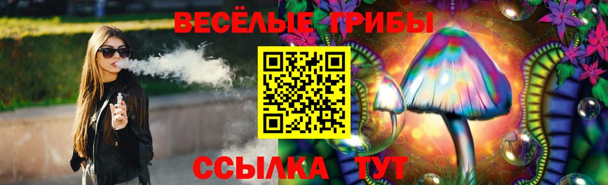 Галлюциногенные грибы Psilocybe Биробиджан